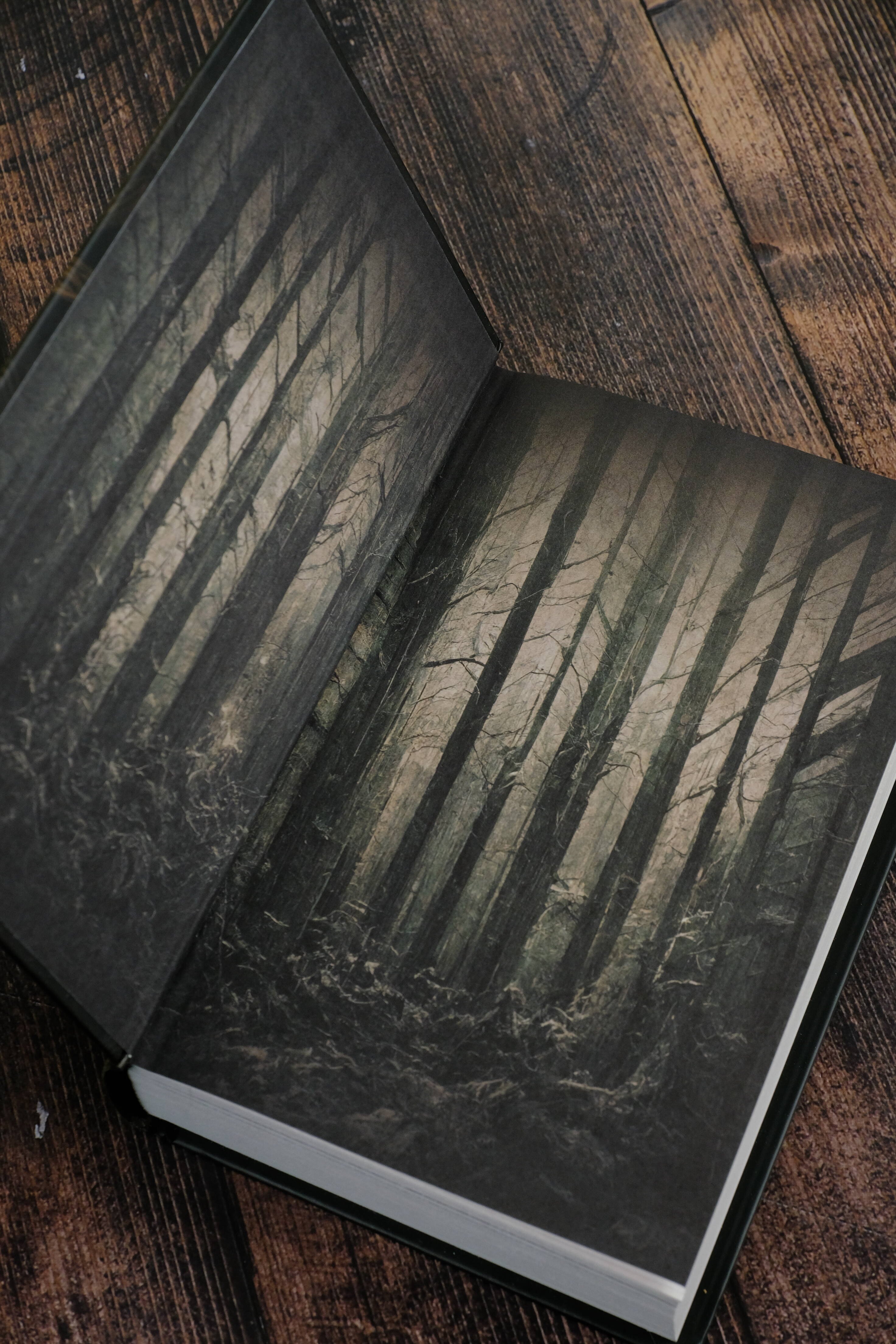 Изображение бумажной книги