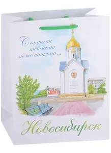 ГС Пакет Новосибирск 18*23*8 (бумага)