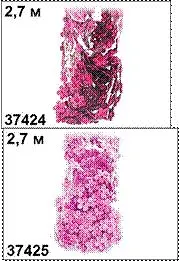 Бусы "Лепестки" (37424) (2,7м) (бордо) (Дрофа-Медиа)