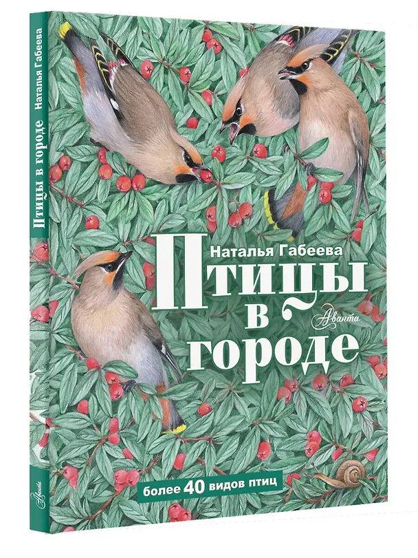 Книга Птицы в городе (Наталья Габеева) — 5