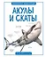 Акулы и скаты — 2676346 — 1