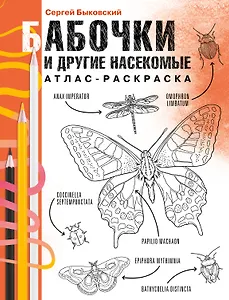 Бабочки и другие насекомые