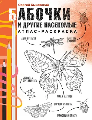 Книга Бабочки и другие насекомые (Сергей Быковский)