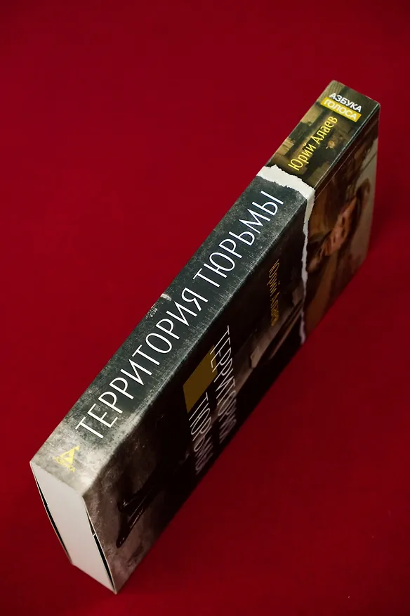 Книга Территория тюрьмы (Юрий Алаев) — 12