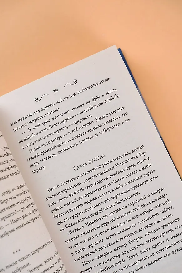 Книга Эльфийский подменыш (Алан Чароит) — 10