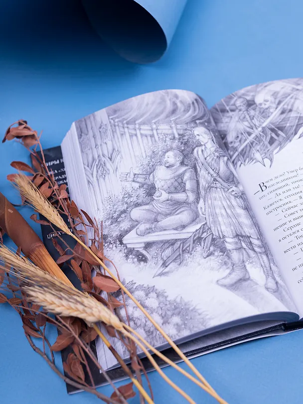 Книга Ветер Полыни. Коллекционное издание (Алексей Пехов) — 11