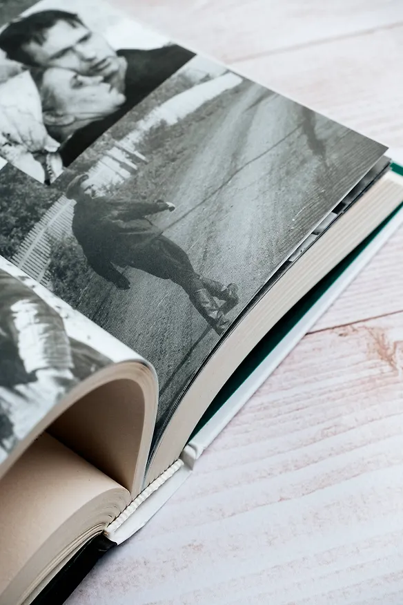 Книга Василий Макарович (Михаил Гундарин, Евгений Попов) — 15