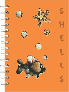 Тетрадь Be Smart, "Шеллс", 120 листов