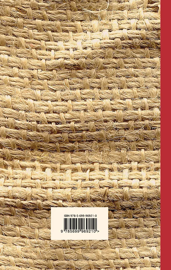 Книга Рэгтайм (Эдгар Доктороу) — 2