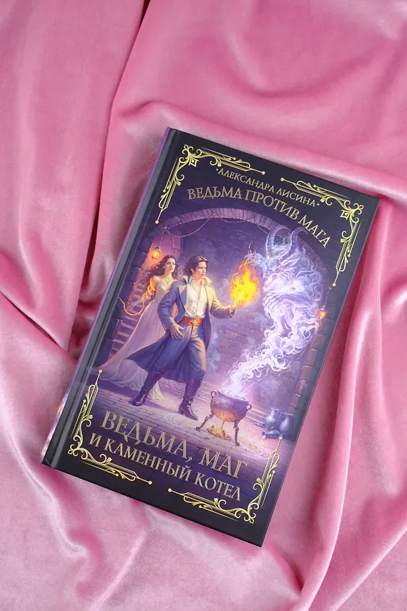 Книга Ведьма, маг и каменный котел (Александра Лисина) — 10