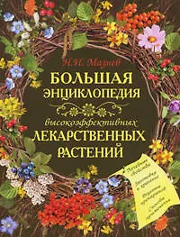 Большая энциклопедия высокоэффективных лекарственных растений