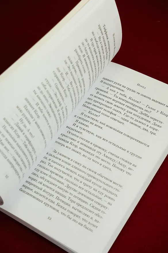 Книга Порез (Патрисия Маккормик) — 16