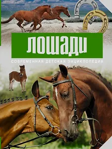 Лошади