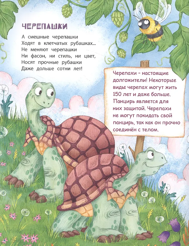 Книга В небе и на земле (Татьяна Боброва) — 2
