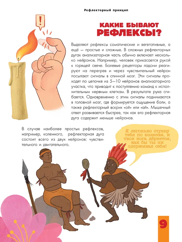 Книга Мозг и нервная система (Вячеслав Дубынин, Игорь Сергеев) — 9