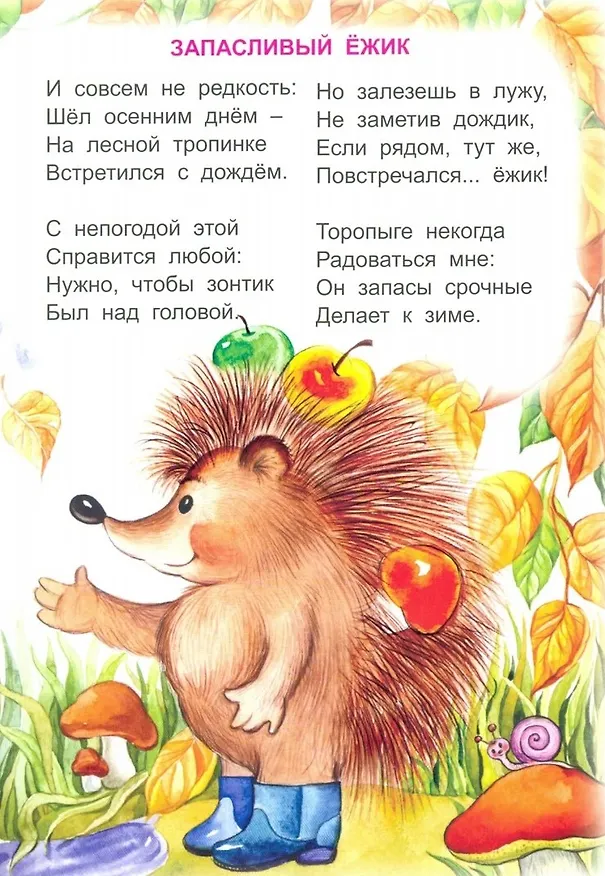 Книга Малыш (Владимир Борисов) — 5