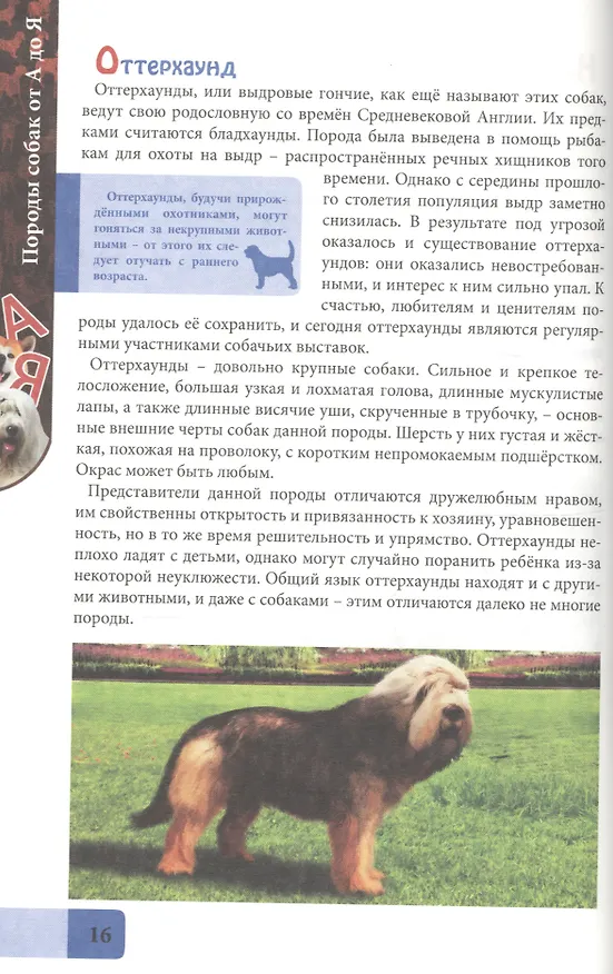 Книга ЭНЦИКЛОПЕДИЯ. В МИРЕ ЗНАНИЙ. ПОРОДЫ СОБАК ОТ А ДО Я () — 5