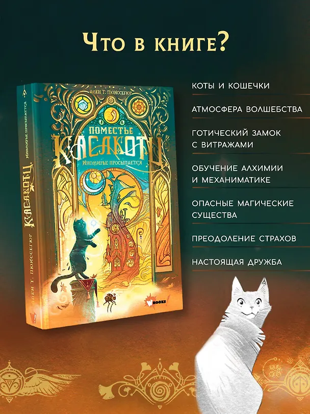Книга Поместье Каслкотц. Иномирье просыпается (Ален Т. Пюиссегюр) — 8