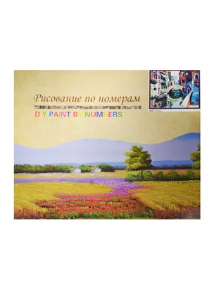 Набор для раскрашивания по номерам (G081) (7703636) (40х50см) (коробка) — 2483383 — 1