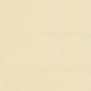 Бумага для пастели 50*65 "Tiziano" 160г/м2 №40 бледно-кремовый, Fabriano