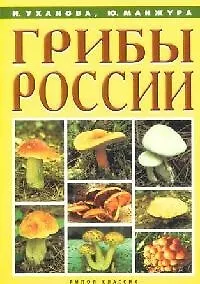 Книга Грибы России ()