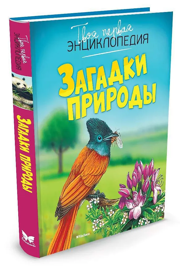 Книга Загадки природы (Эмили Бомон, Мари-Рене Гийоре) — 2