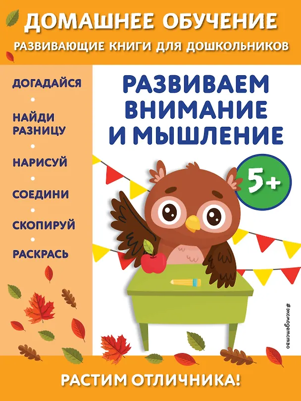 Книга Развиваем внимание и мышление: для детей от 5 лет (Беркай Динч) — 1