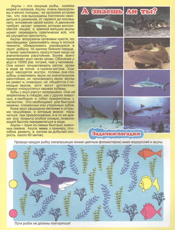 Книга Кто живет в море? Для детей 4-6 лет () — 4