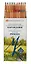 Карандаши цветные "Мастер-Класс" 24 цвета, картонная коробка, подвес, Мастер-Класс — 3035464 — 2
