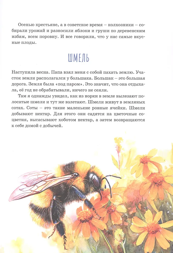 Книга Рассказы для внуков (Сергей Семенов) — 9