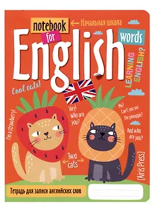 Тетрадь для записи английских слов Айрис, "Кошки на карнавале", А5, 24 листа