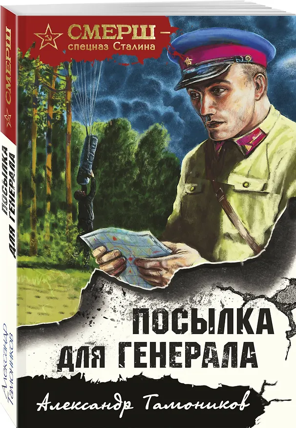 Книга Посылка для генерала (Александр Тамоников) — 4