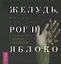 Желудь, рог и яблоко: путеводитель в мир зеленого колдовства — 2947952 — 1