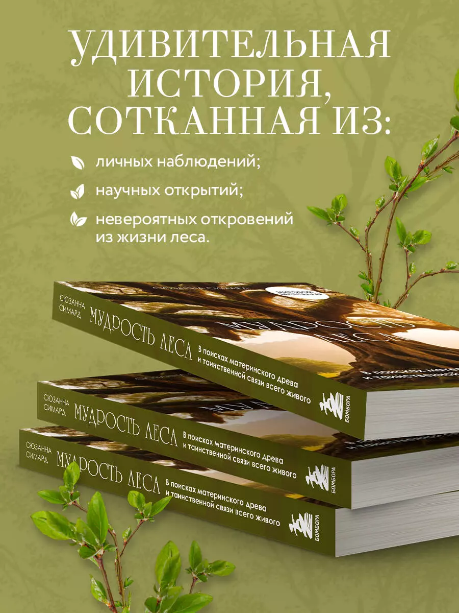 Мудрость леса. В поисках материнского древа и таинственной связи всего  живого (Сюзанна Симард) - купить книгу с доставкой в интернет-магазине  «Читай-город». ISBN: 978-5-04-160275-8