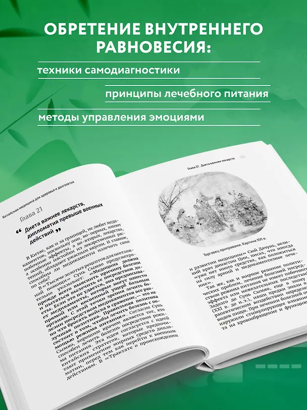 Книга Традиционная китайская медицина. Современное руководство по древнему искусству «войны» с болезнями (Юнь Лун) — 9