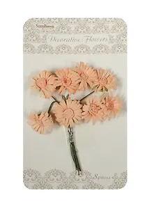 Маргаритки кремовые (SCB281406) (1 букетик) (в букете 8шт.) (упаковка)