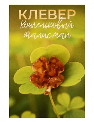 Кошельковый талисман Клевер (Янтарь,Смола) (4х6) (КС №11) 3155562