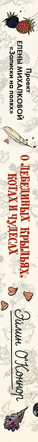 Книга О лебединых крыльях, котах и чудесах (Эйлин О'Коннор) — 3