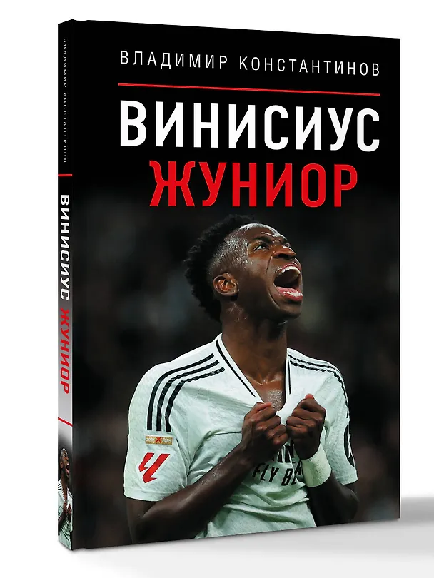 Книга Винисиус Жуниор (Владимир Константинов) — 4