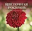 Цветочная роскошь. Календарь настенный на 2027 год (300х300 мм) — 3174366 — 1