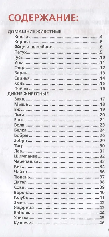 Книга Загадки о животных (Владимир Степанов) — 2