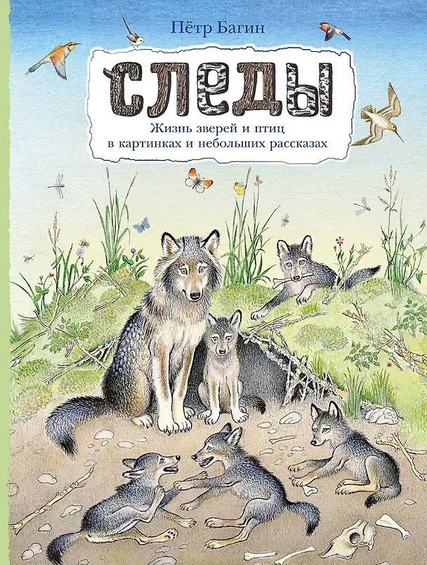 Книга Следы (Петр Багин) — 1