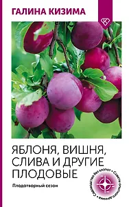 Яблоня, вишня, слива и другие плодовые. Плодотворный сезон