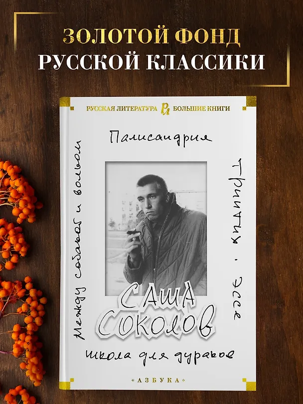 Книга Школа для дураков. Между собакой и волком. Палисандрия. Триптих. Эссе (Саша Соколов) — 4