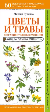 Цветы и травы. Мир удивительных растений. Наглядный карманный определитель — 2846033 — 1