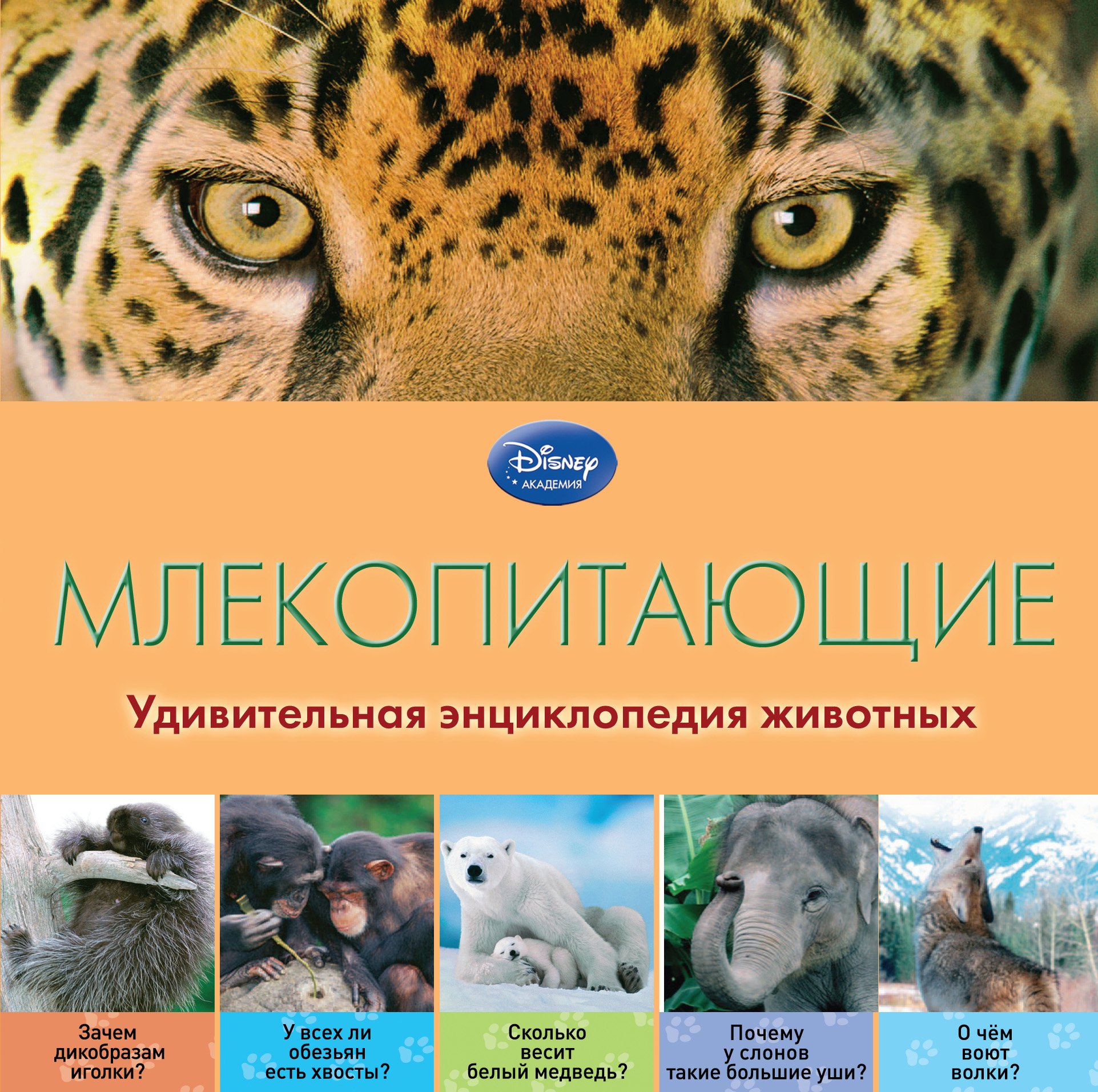 

Млекопитающие