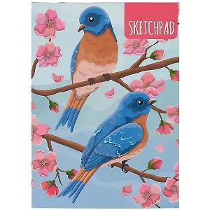 Скетчбук А5 40л "Птицы" 160г/м2, склейка