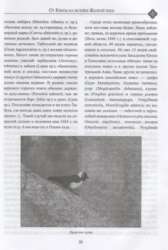 Книга От Кяхты на истоки Желтой реки (Николай Пржевальский) — 4