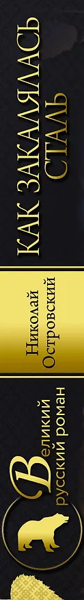 Книга Как закалялась сталь (Николай Островский) — 3