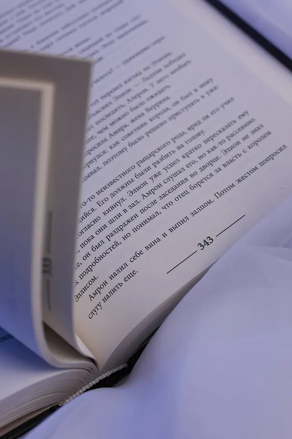 Книга Песнь Первого клинка (Т. С. Эйдж) — 17